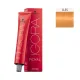 Schwarzkopf Igora Royal 60ml #0-55 Χρυσό Μίξτον Schwarzkopf Igora Royal 60ml #0-55 Χρυσό Μίξτον