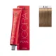 Schwarzkopf Igora Royal 60ml #8-46 ΞΑΝΘΟ ΑΝΟΙΧΤΟ ΜΠΕΖ ΜΑΡΟΝ Schwarzkopf Igora Royal 60ml #8-46 ΞΑΝΘΟ ΑΝΟΙΧΤΟ ΜΠΕΖ ΜΑΡΟΝ