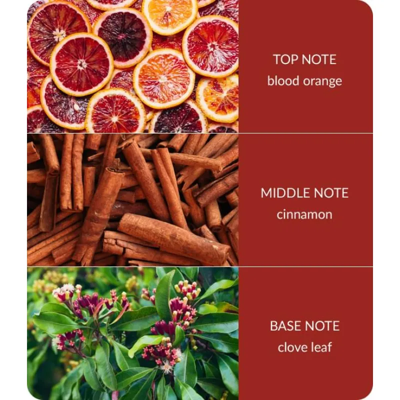Heart and Home Αρωματικό Χώρου Με Στικς 70ml #Ξύσμα πορτοκαλιού & γαρύφαλλο Heart and Home Αρωματικό Χώρου Με Στικς 70ml #Ξύσμα πορτοκαλιού & γαρύφαλλο
