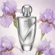 Iris Fusion Women (χυμα αρωμα) Iris Fusion Women (χυμα αρωμα)