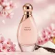 Aroma Amour Women (χυμα αρωμα) Aroma Amour Women (χυμα αρωμα)