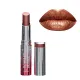 ELIXIR Scarlet Desire Satin Κραγιόν 3g #102
